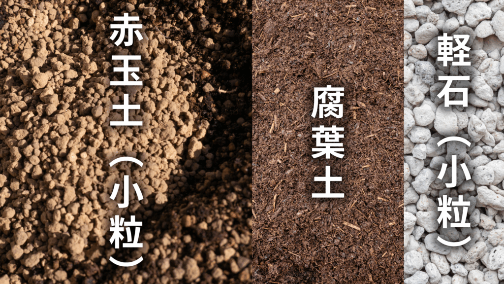 フィカス　エラスティカの土の配合比率