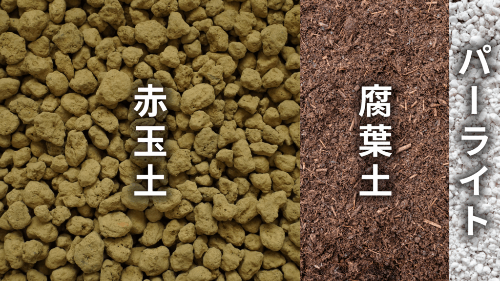 ボトルツリー（ブラキキトン）の土の配合比率