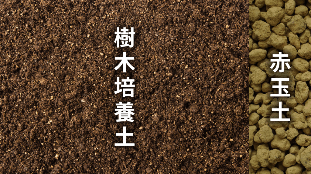 イロハモミジの土の配合比率