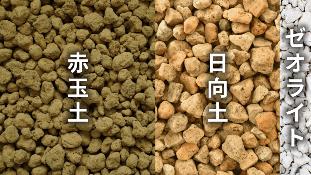 パキポディウムの土の配合比率