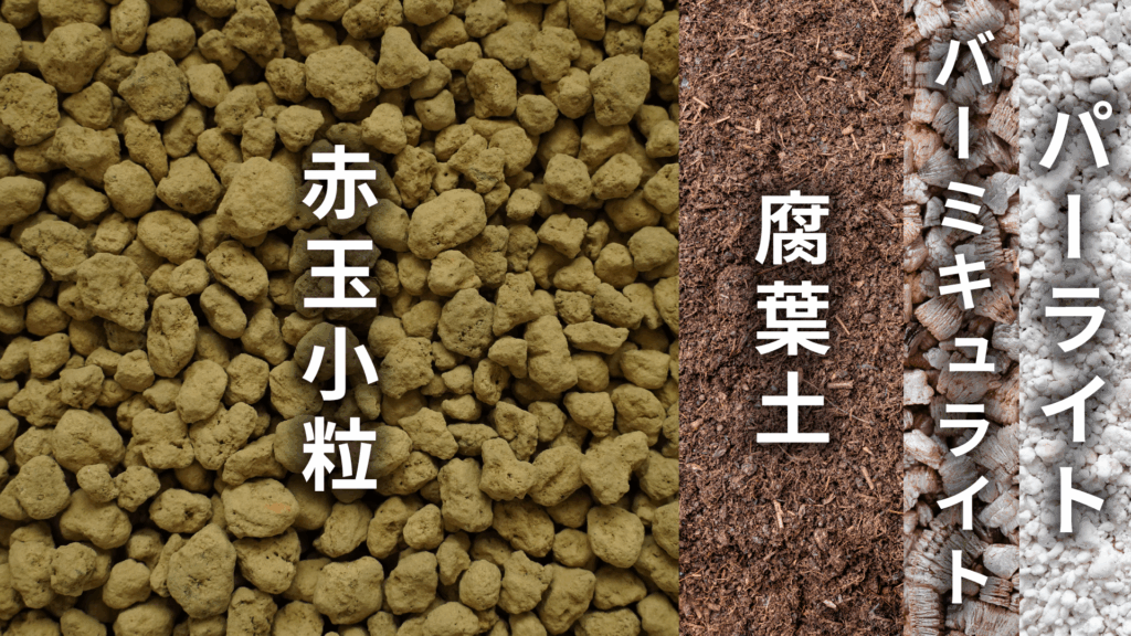 ペペロミアの土の配合比率