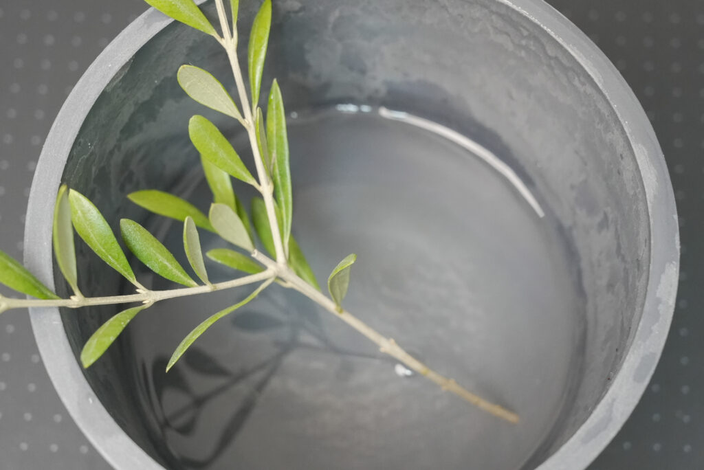 ② 水につけて数時間置く