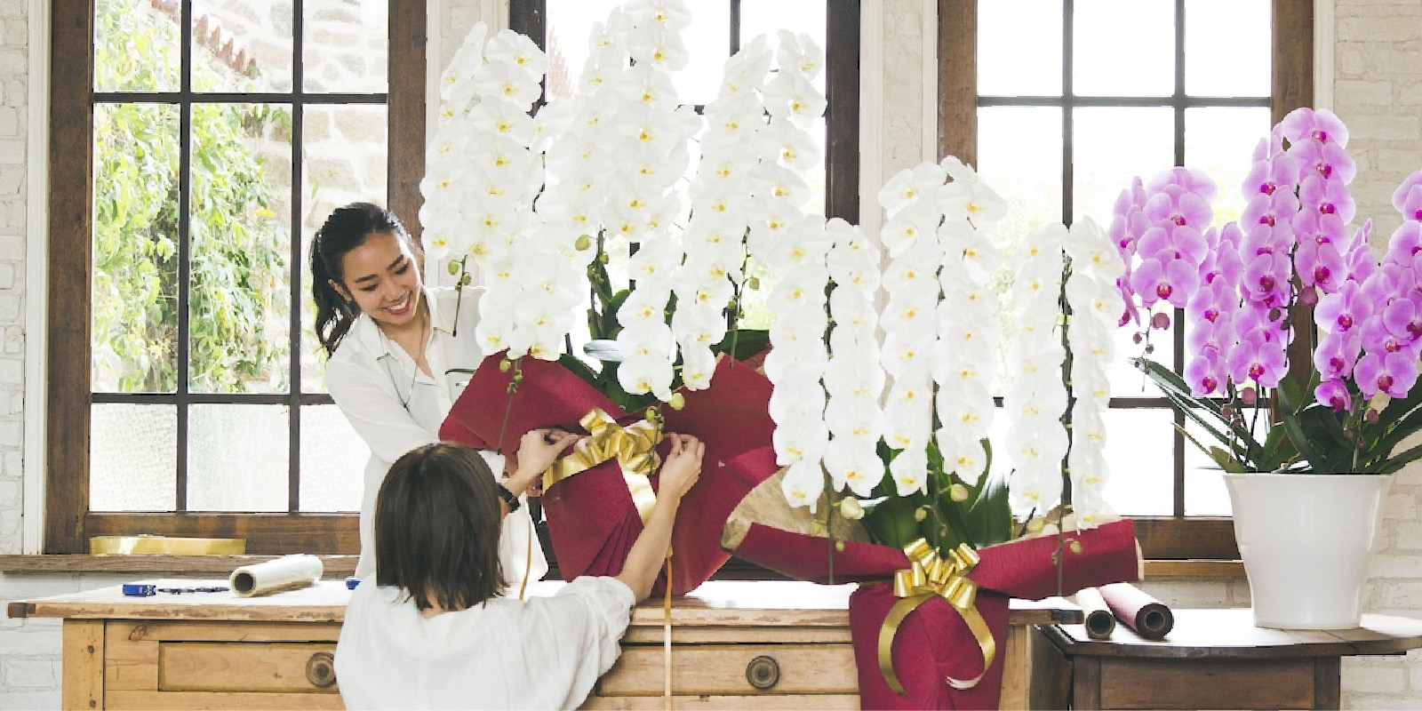 ミケ　胡蝶蘭 鉢花＋木の立て札＋専用箱サービス ミケ様専用 胡蝶蘭 鉢花＋木の立て札＋専用箱サービス