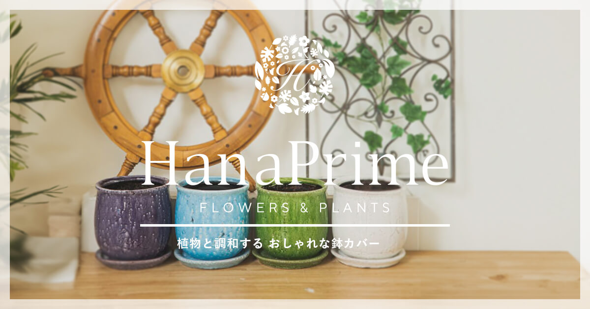 鉢カバー・植木鉢の通販｜【公式】HanaPrime｜花と植物のギフト通販