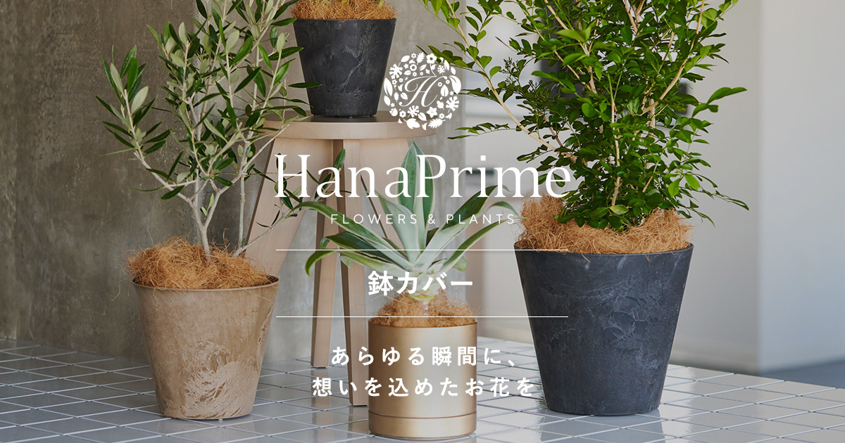 鉢カバー・植木鉢の通販｜HanaPrime（ハナプライム）