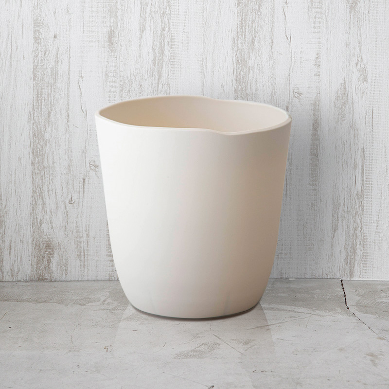 観葉植物 フィカス アルテシマ 曲がり（8号鉢）｜HanaPrime