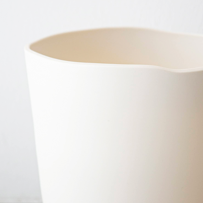 観葉植物 ストレリチアレギネ（10号鉢）｜HanaPrime（ハナプライム）