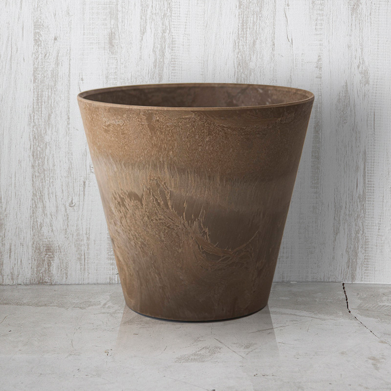 美品★エバーフレッシュ　6号鉢 観葉植物 エバーフレッシュ（6号鉢）｜HanaPrime（ハナプライム）