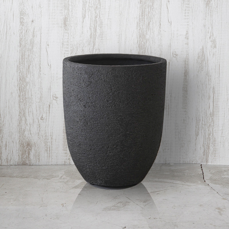 観葉植物 フィカス ベンガレンシス（8号鉢）｜HanaPrime（ハナプライム）