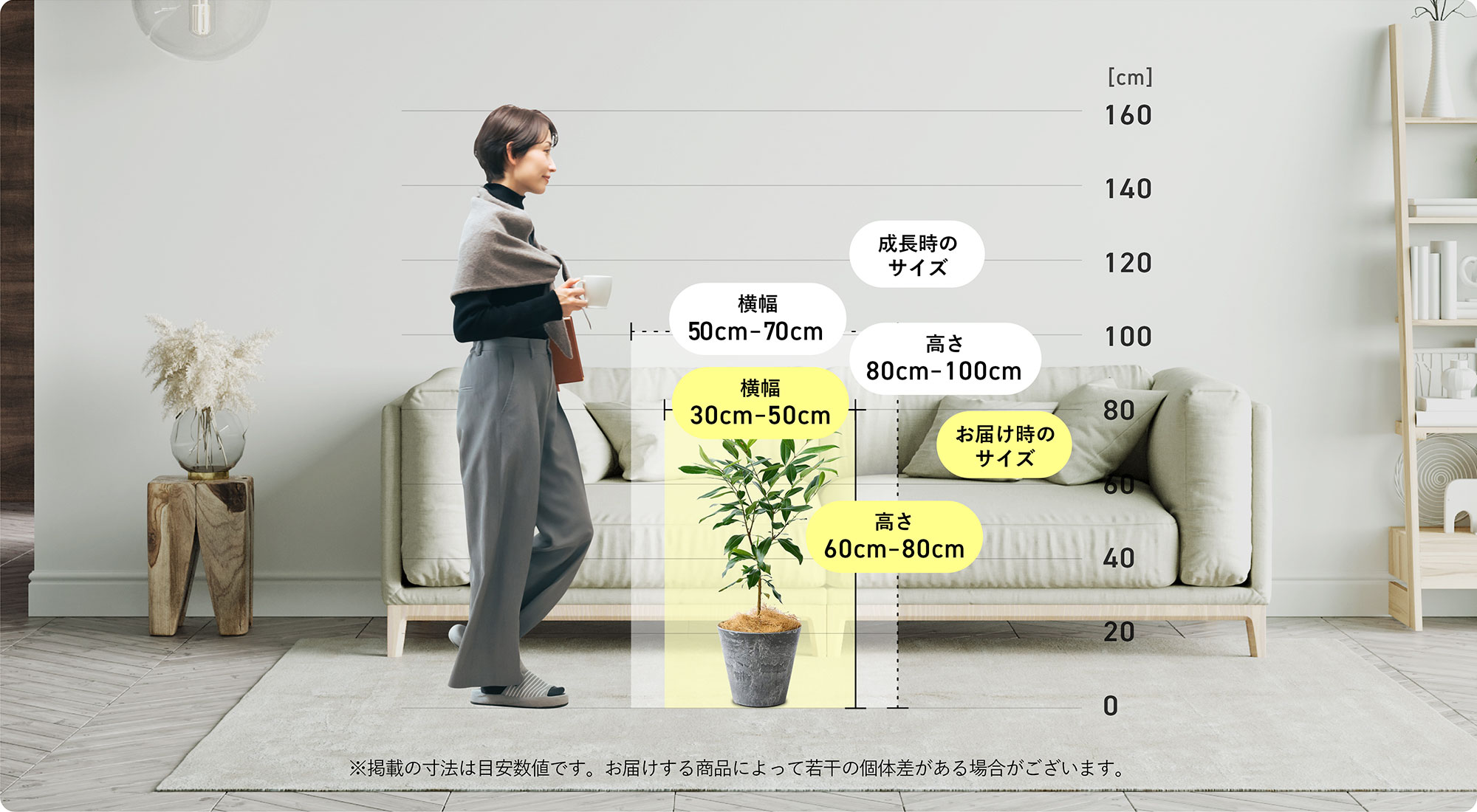 アマゾン・オリーブ　リビングサイズ‼️ 186620713_o1.jpg?