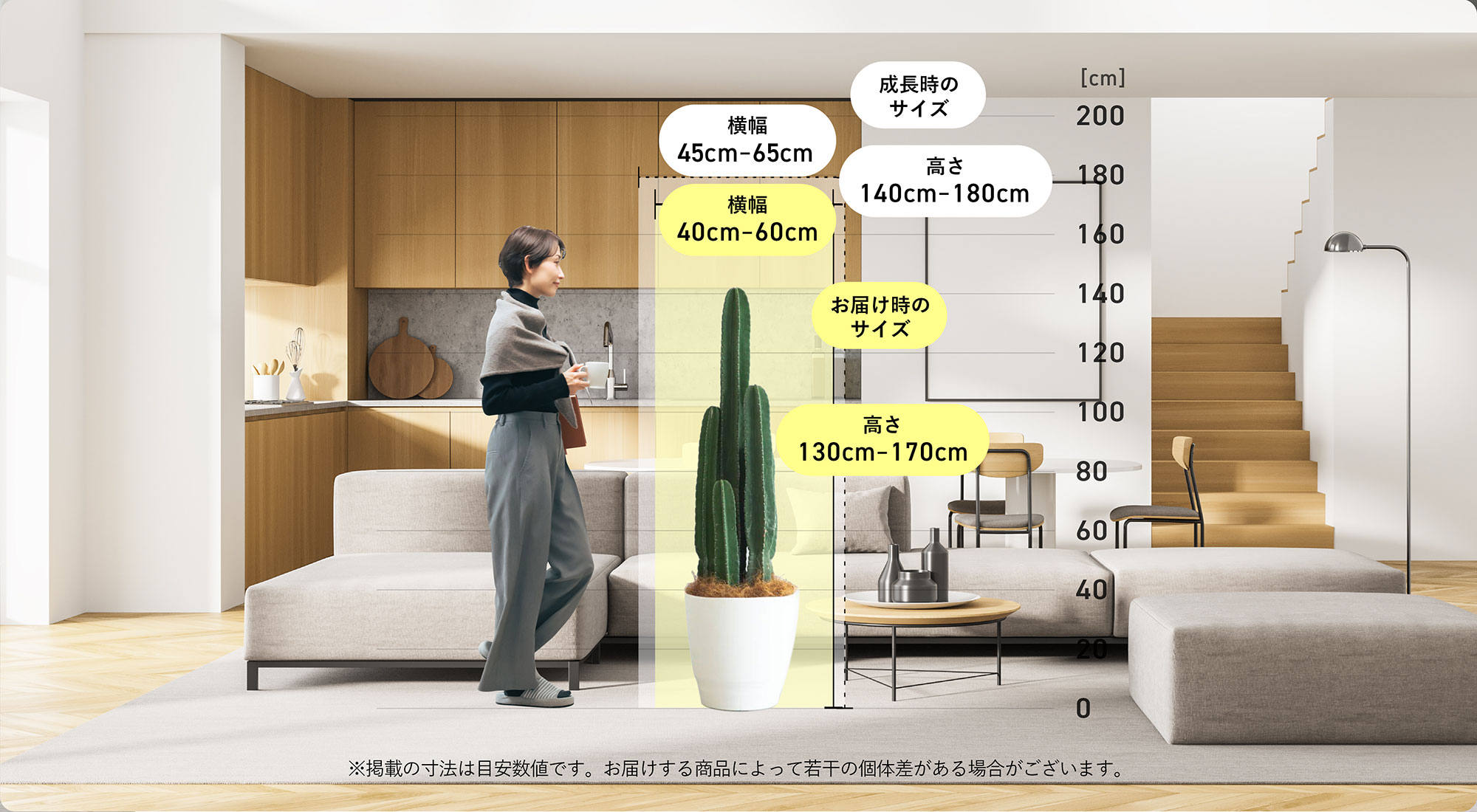 柱サボテン（サイズXXL）
