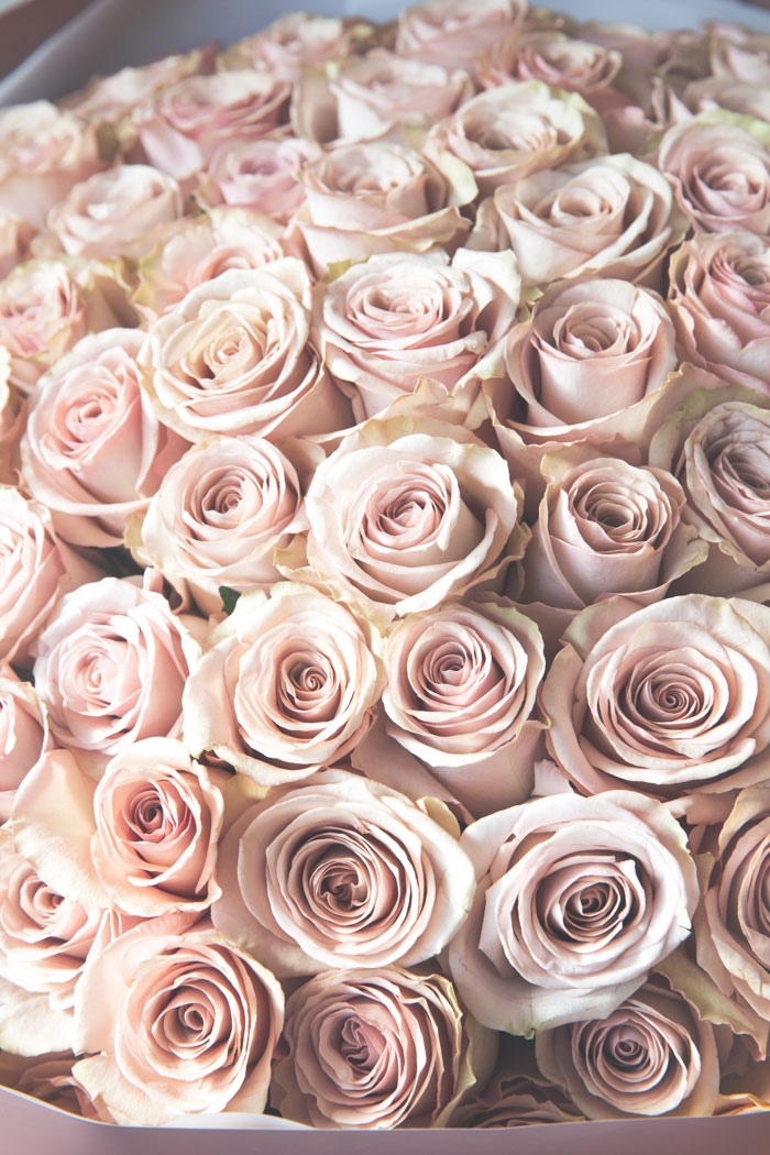 花束 ローズブーケ バラ 108本 #1111 アンティーク薄PNK