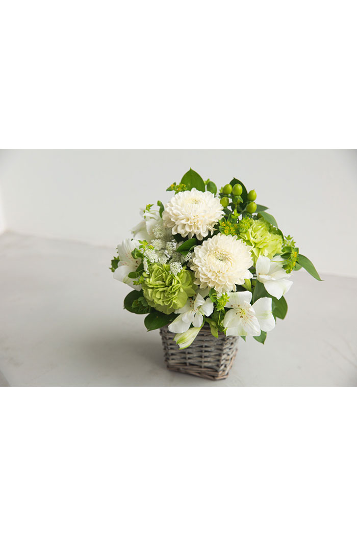 アレンジメント  #1541 size:80の写真5枚目