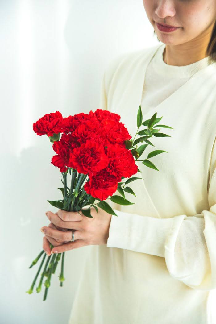 スタンダード カーネーション 大輪 赤 品種おまかせ 3本　size:80