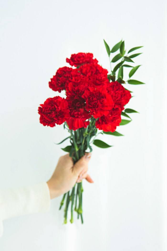 スタンダード カーネーション 大輪 赤 品種おまかせ 3本 size:80