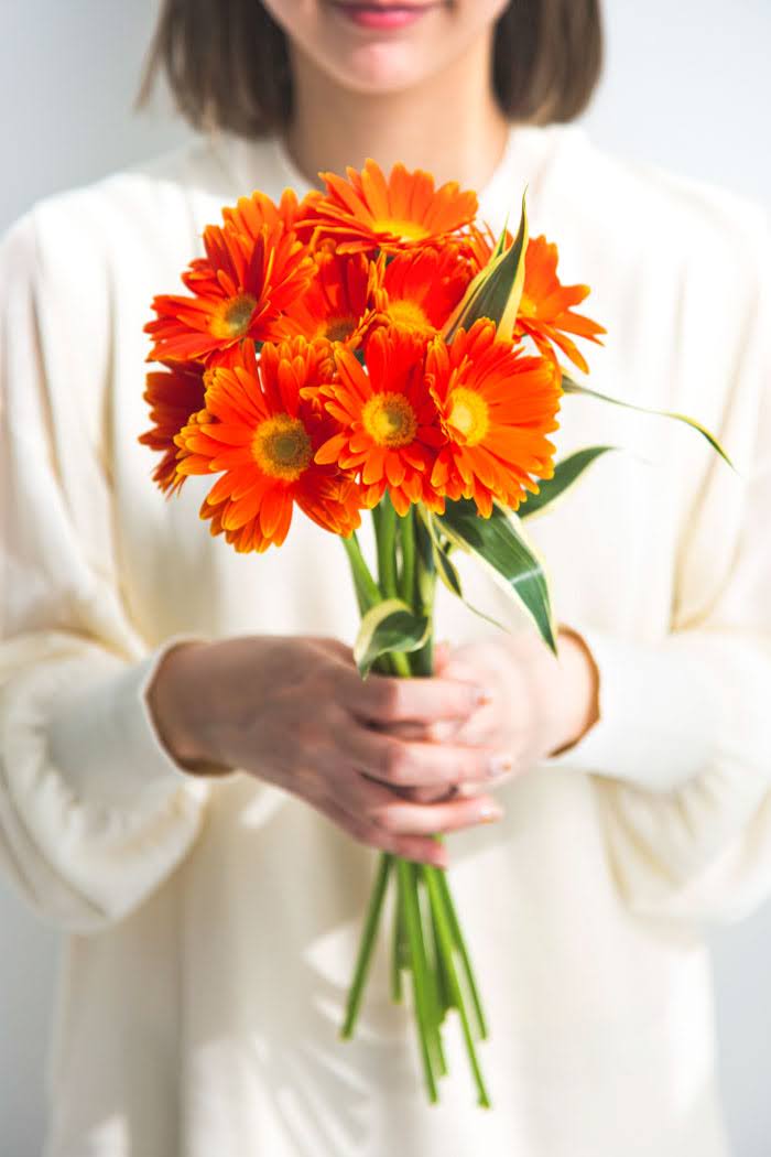 ガーベラ オレンジ　品種おまかせ 3本　size:80