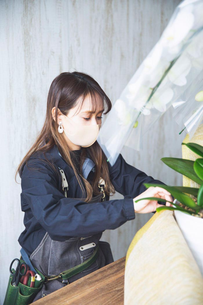 胡蝶蘭 大輪 39輪～42輪 3本立ち ピンクの写真5枚目
