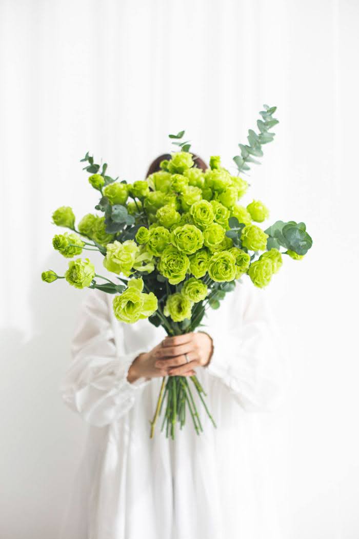 トルコキキョウ八重 大輪 グリーン 品種おまかせ 3本　size:80