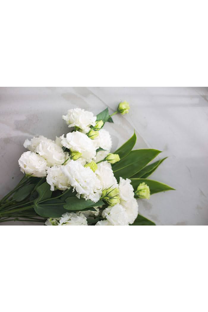 トルコキキョウ八重 大輪 白 品種おまかせ 3本 size:80｜HanaPrime