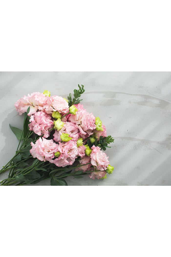 トルコキキョウ八重 大輪 ピンク 品種おまかせ 3本 size:80｜HanaPrime