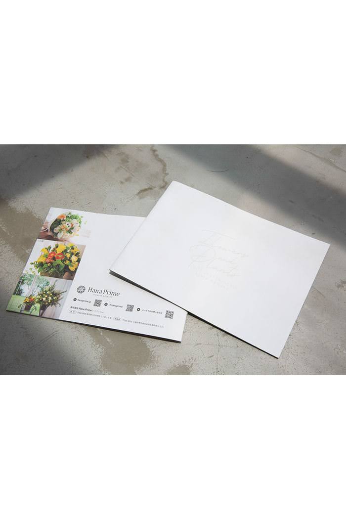 観葉植物 シェフレラ・アンガスティフォリア 曲がり（10号鉢）の写真10枚目