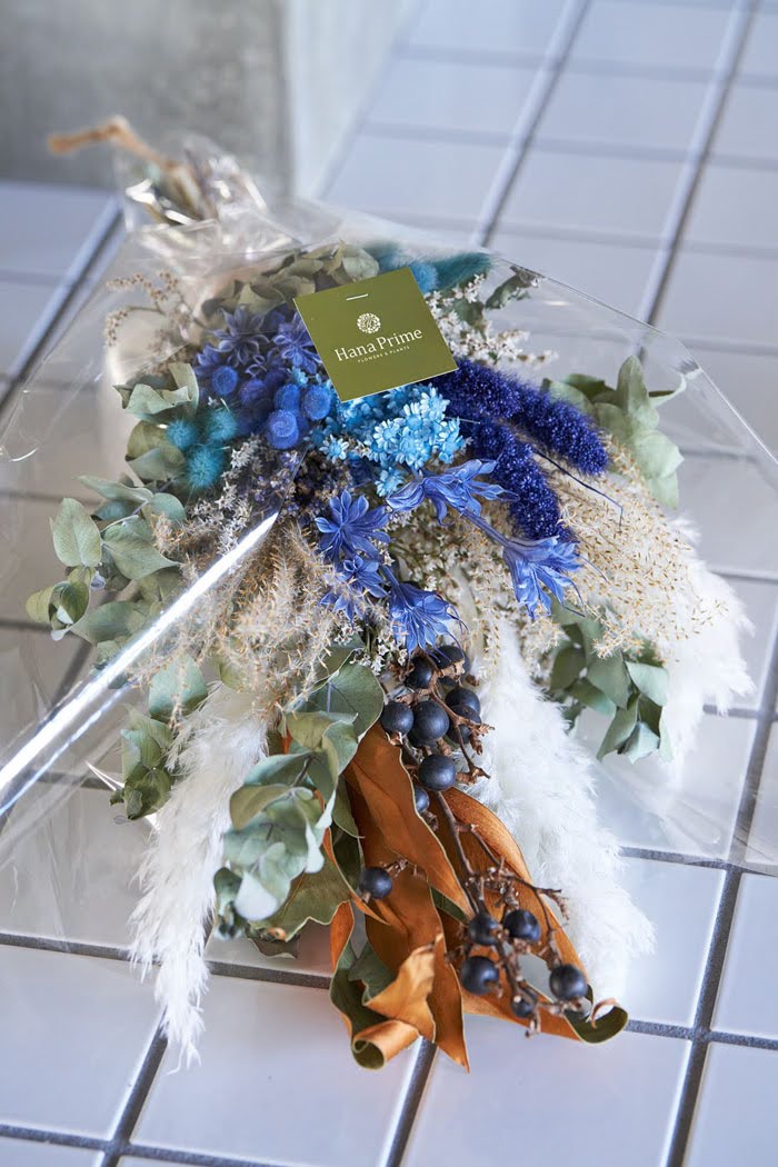 ドライスワッグ ブルー系 size:100 #1761