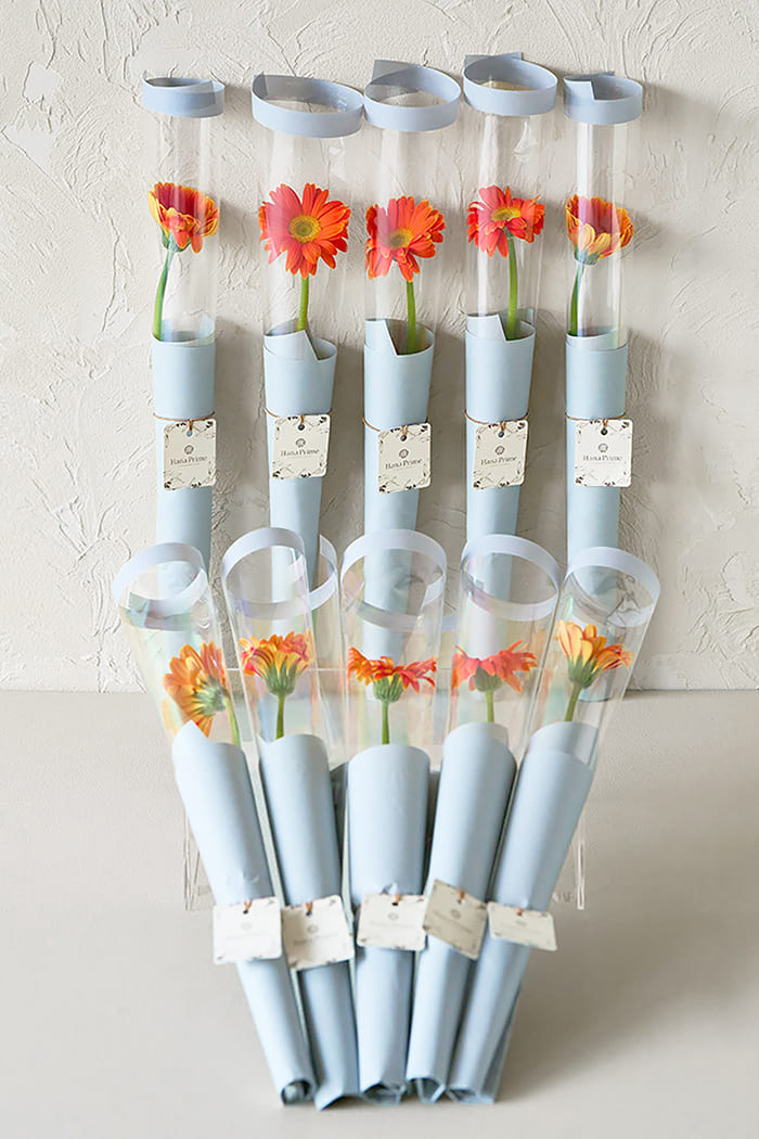 ガーベラ　15本セット ガーベラ 15本セット 楽天市場】ガーベラ（植物の本数51本