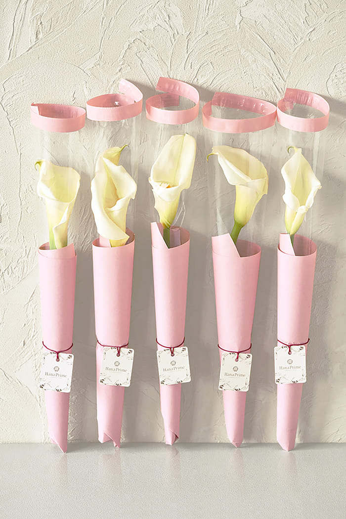 ホワイトカラー1輪 5束セット #1827の写真1枚目