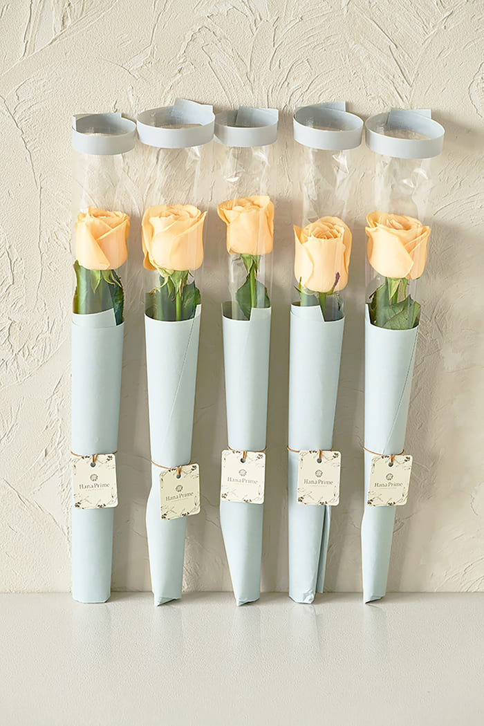 クリームオレンジバラ1輪 ローズ5束セット #1830