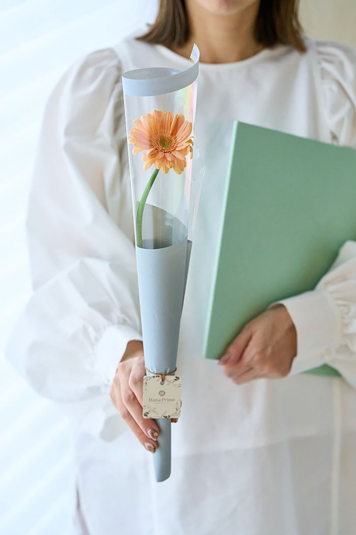 クリームオレンジガーベラ1輪 5束セット #1837