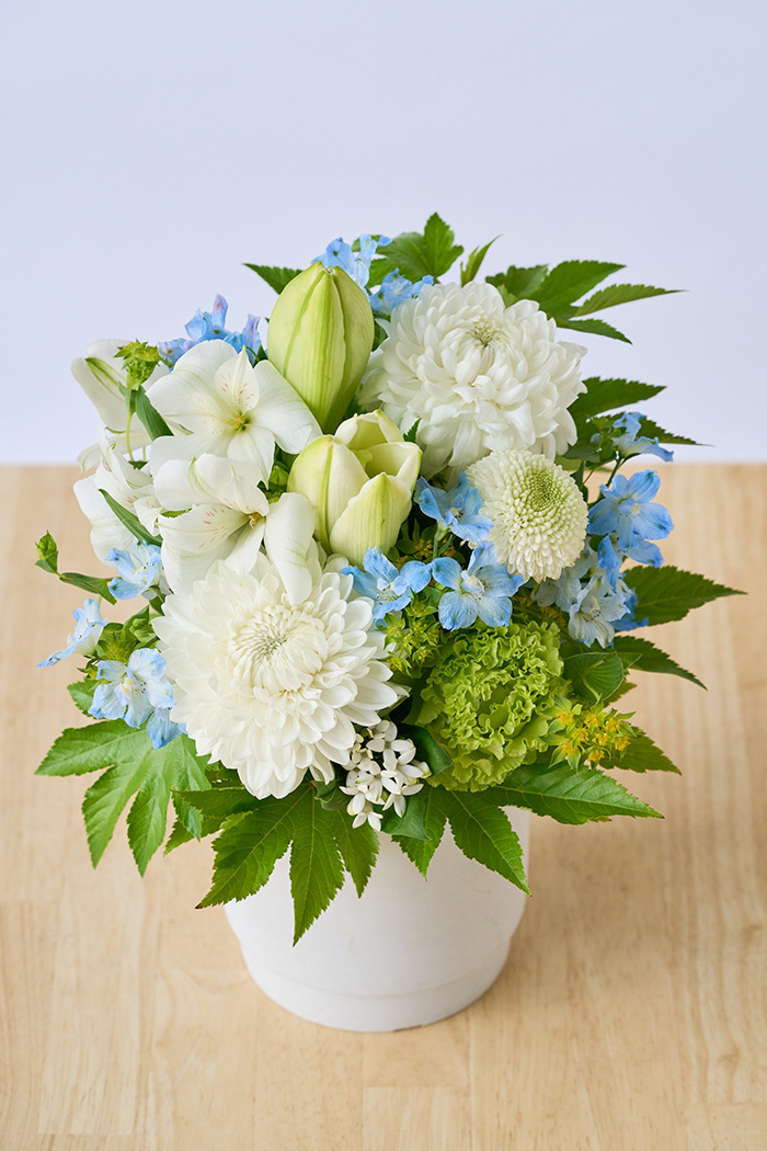 アレンジメント   #1897 size:80の写真4枚目