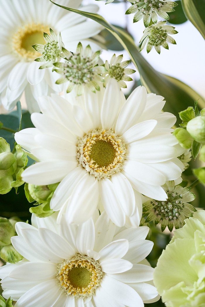 自宅用 季節のお花 1,980円セット #1967の写真5枚目