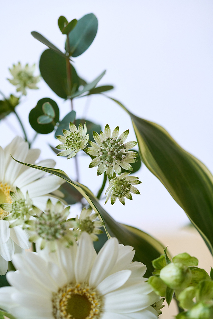 自宅用 季節のお花 1,980円セット #1967の写真6枚目