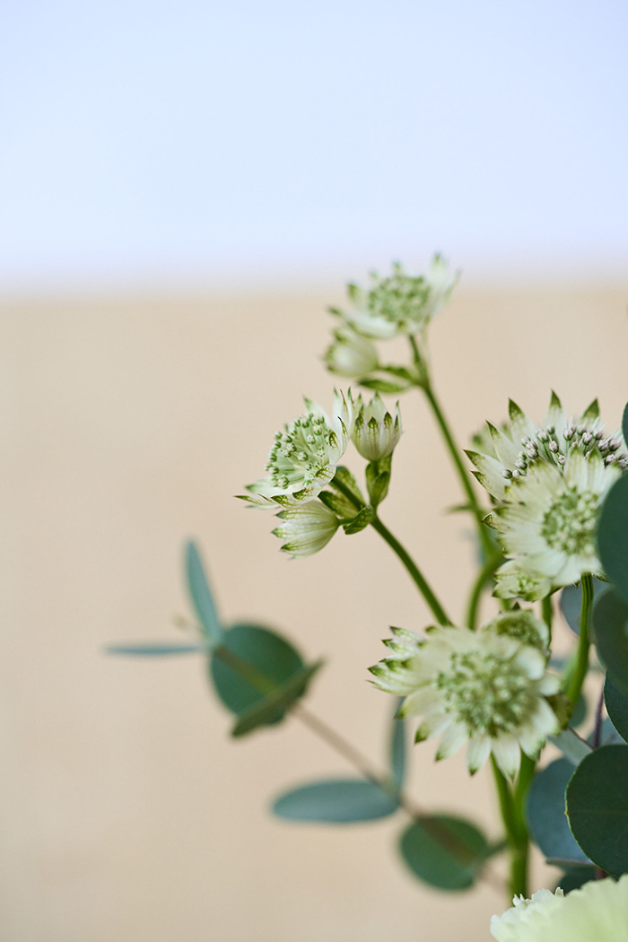 自宅用 季節のお花 980円セット #1969の写真6枚目