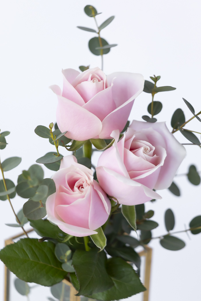 バレンタイン限定 ローズブーケ3本〜 Pink size80 #1977の写真5枚目