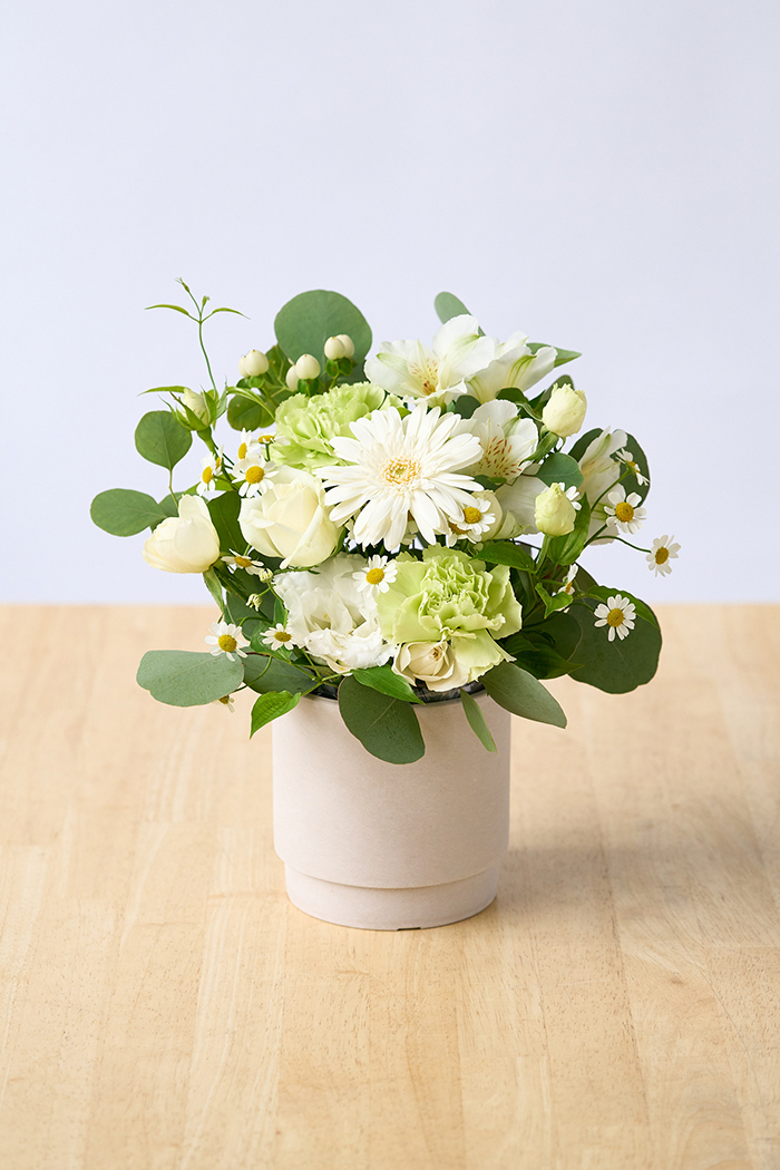 アレンジメント ホワイト #1980 size:80の写真4枚目