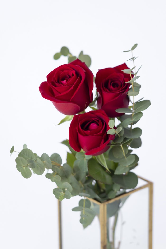 バレンタイン限定 ローズブーケ3本〜 Red size80 #1981