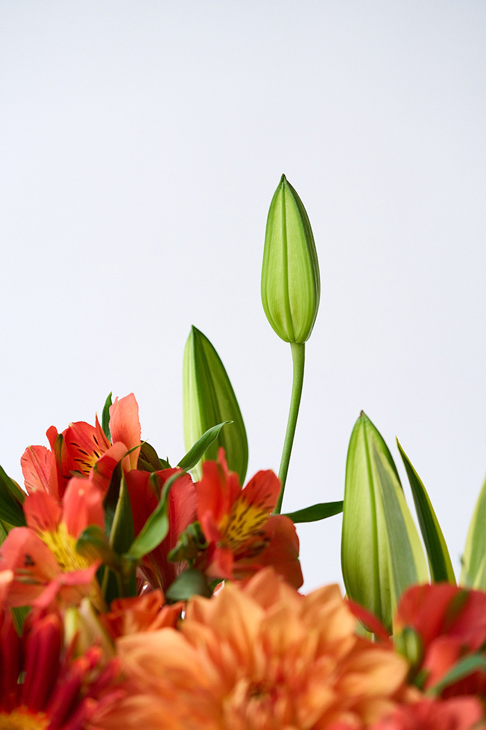 花束 スタンダードブーケ オレンジ #2009 size:120の写真10枚目