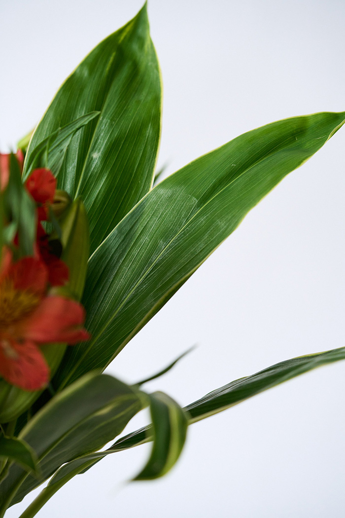 花束 スタンダードブーケ オレンジ #2009 size:120の写真12枚目