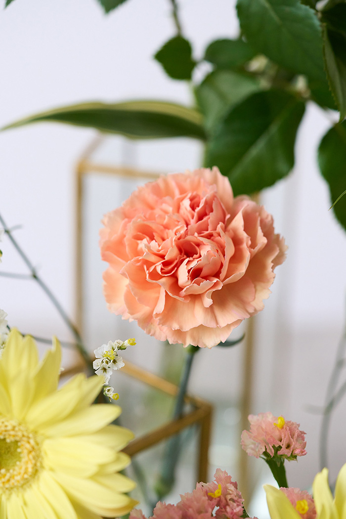 自宅用 季節のお花 1,980円セット #2022の写真5枚目