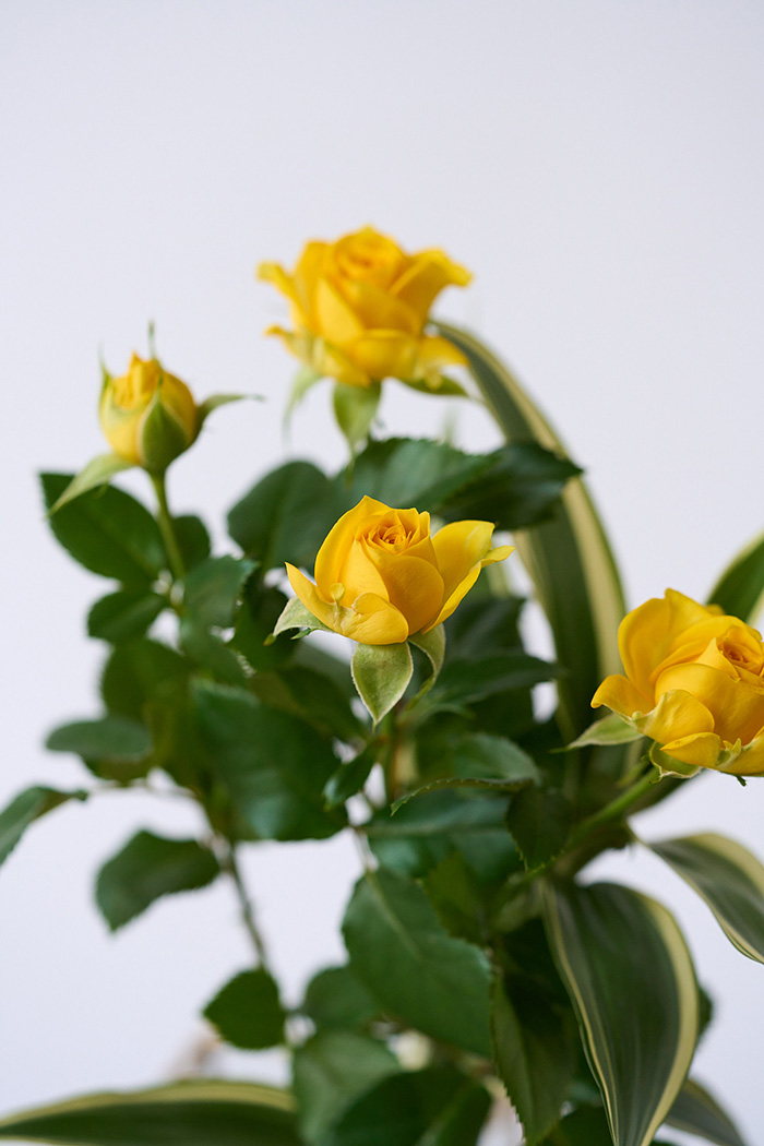 自宅用 季節のお花 1,980円セット #2022の写真7枚目