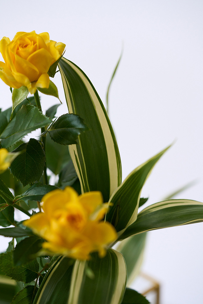 自宅用 季節のお花 1,980円セット #2022の写真8枚目