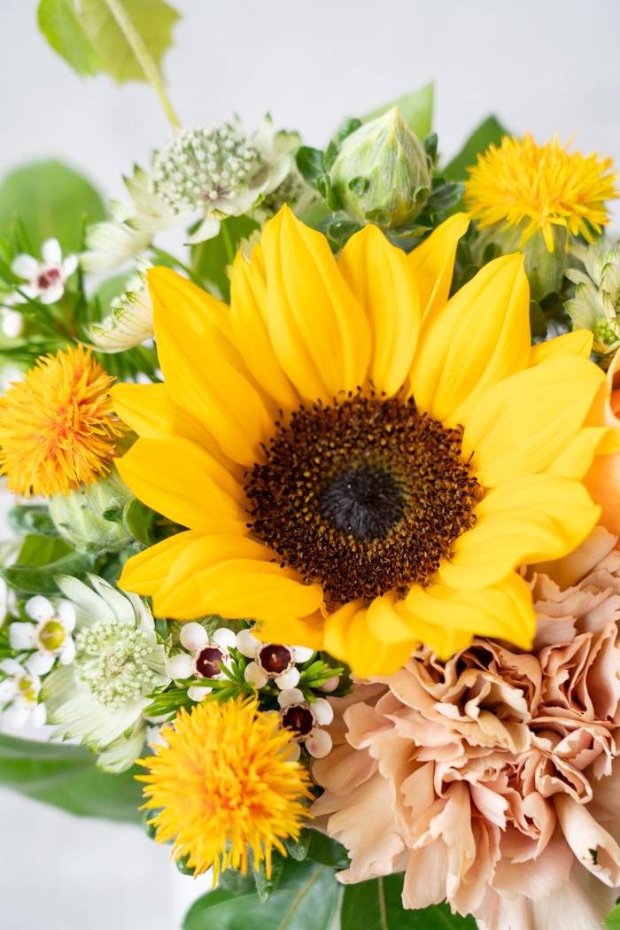 季節のアレンジメント #2032 size:60の写真2枚目