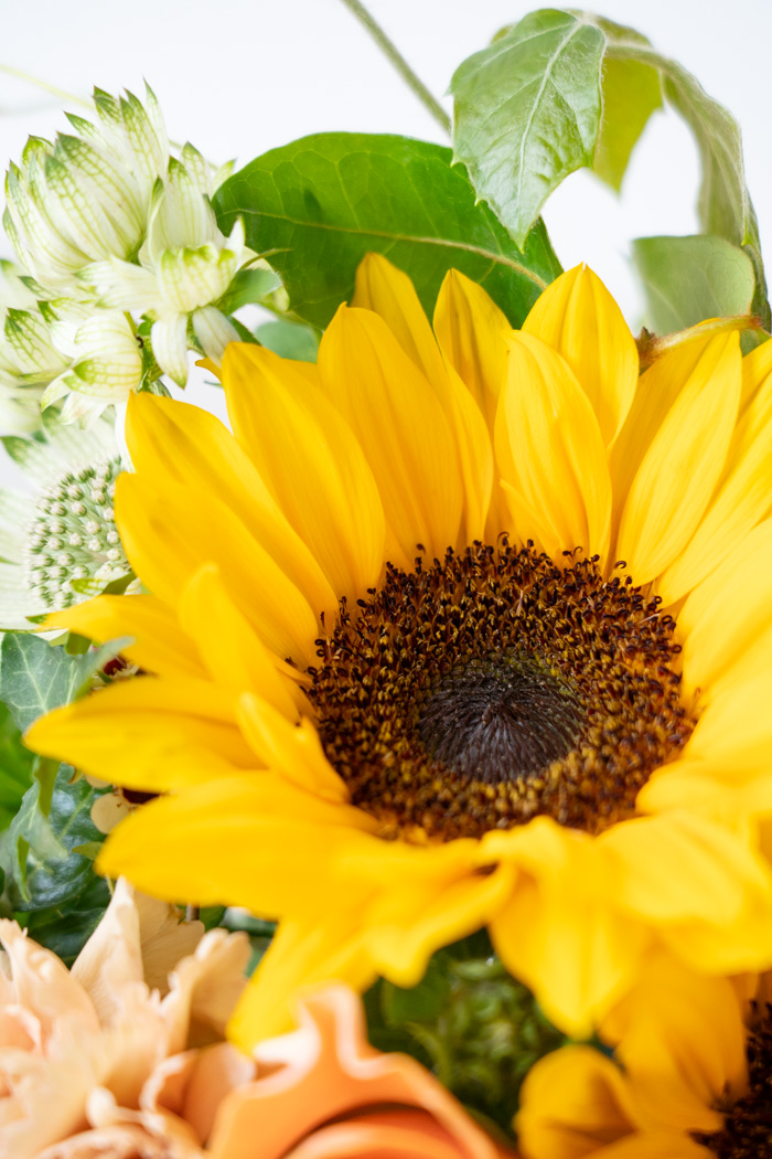 季節のアレンジメント #2033 size:80の写真10枚目