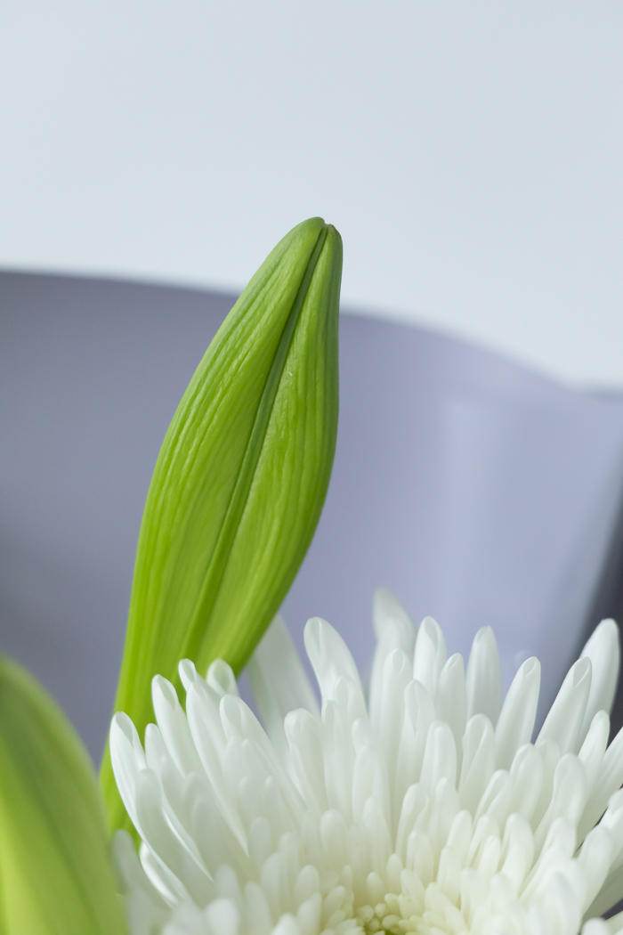 供花 アレンジメント  #2078 size:100の写真10枚目