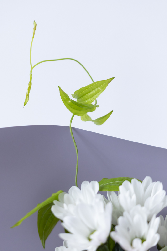 供花 アレンジメント  #2080 size:100の写真7枚目