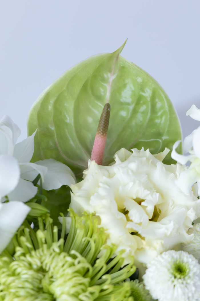 供花 アレンジメント #2114 size:80の写真10枚目