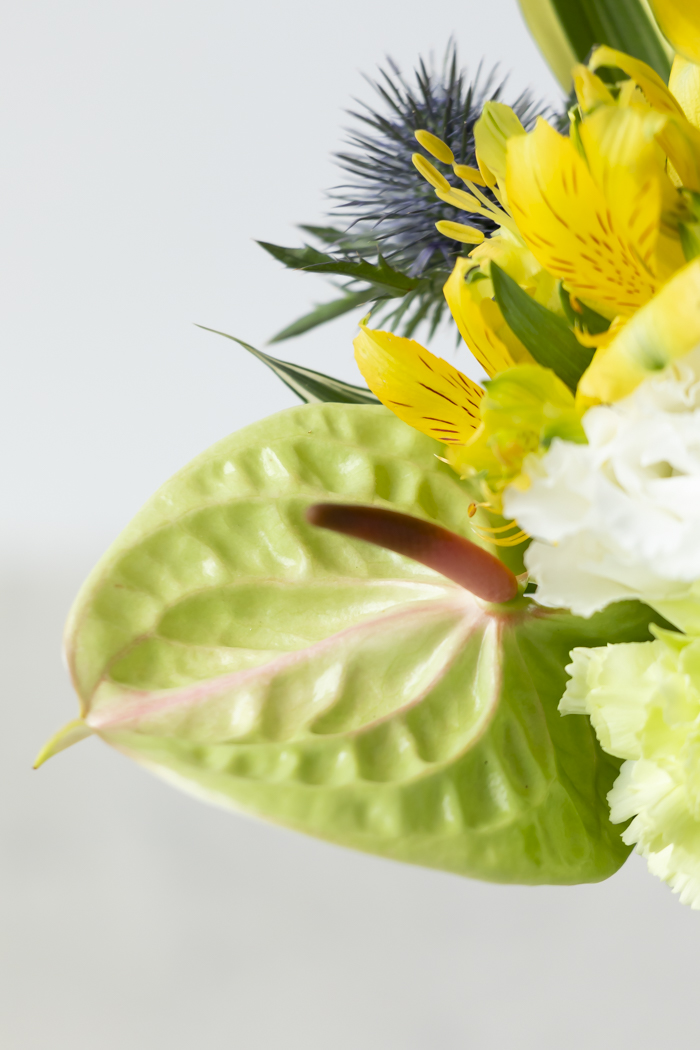 花束 ラウンドブーケ #2143 size:100の写真3枚目