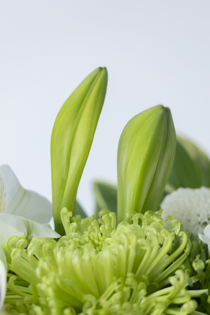 供花 花束 #2151 size:100の写真12枚目