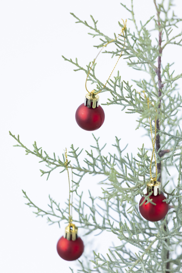 クリスマス限定商品 観葉植物 アリゾナイトスギ ブルーアイス（4号鉢）の写真7枚目